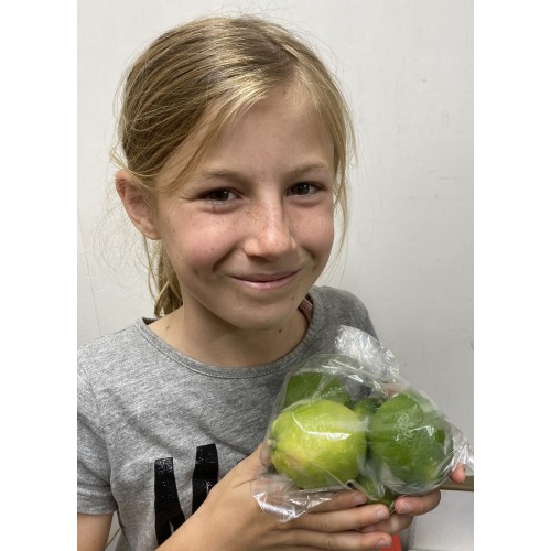 LIMES 500 grams KATIKATI Grown